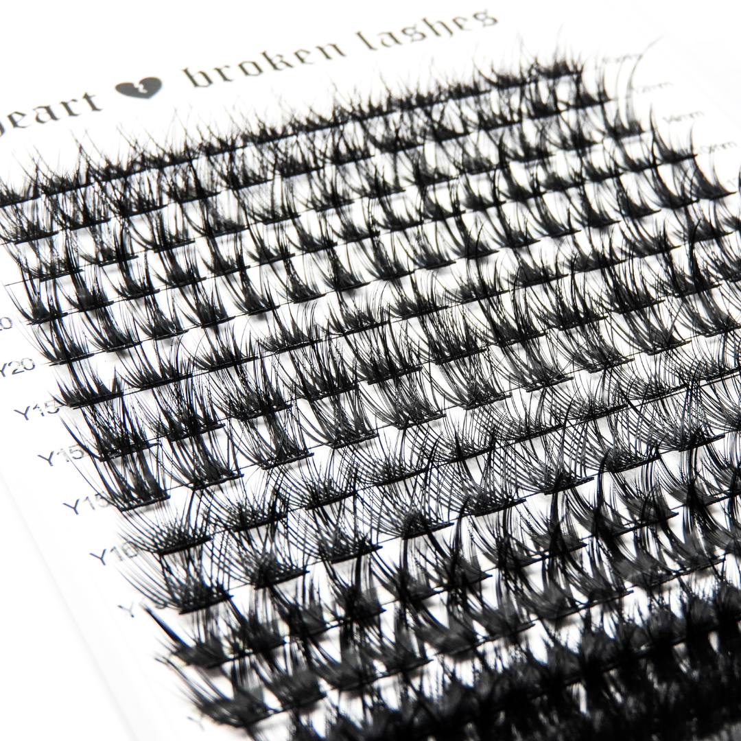 Bold Beginnings Lash Set