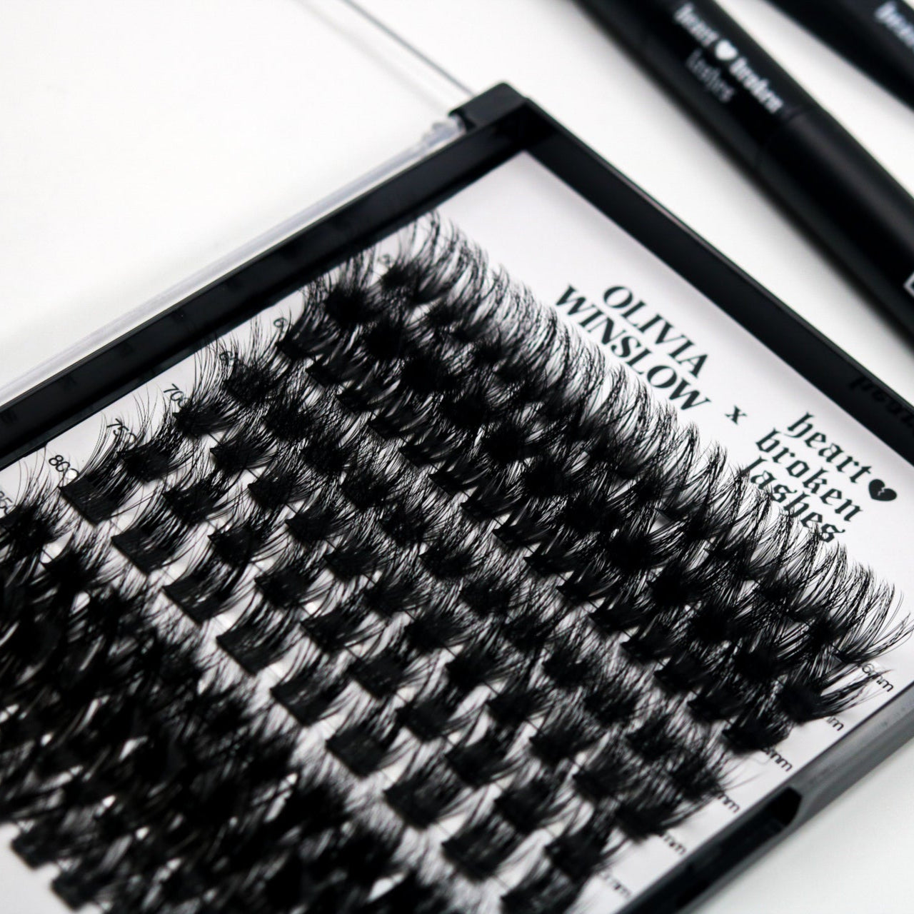 Olivia Winslow Lash Set